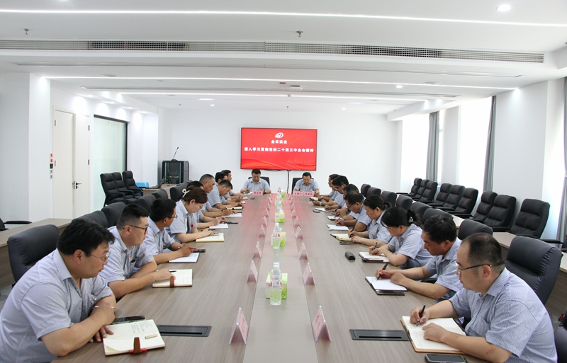 公司黨委深入學(xué)習(xí)貫徹黨的二十屆三中全會精神